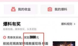 今日头条没有爆料选项,揭秘热门话题背后的真相，无爆料选项呈现独家视角